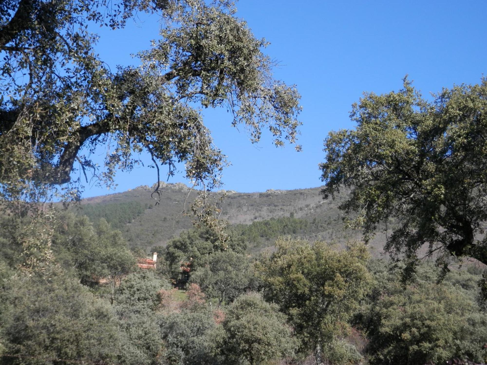 Apartamentos Rurales En Plena Sierra La Calera Εξωτερικό φωτογραφία