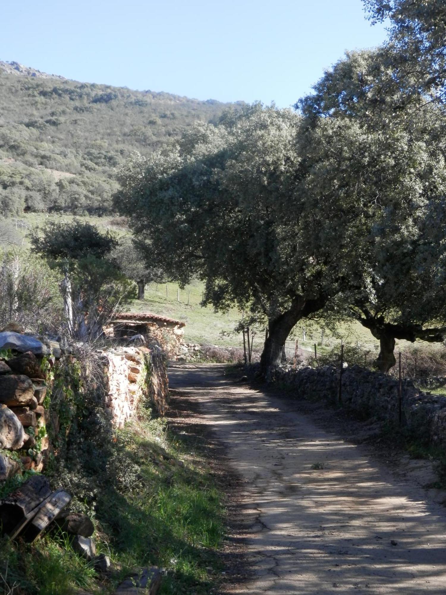Apartamentos Rurales En Plena Sierra La Calera Εξωτερικό φωτογραφία